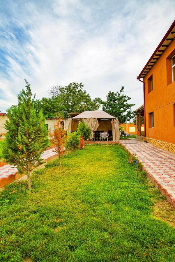 Pensiunea Burciu Salcioara  Exterior photo